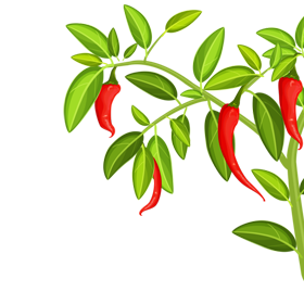 ag亚娱集团种养